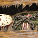 Illustration for article titled The Decaying Body Of Friday The 13th's Jason Lies Inside This Table
